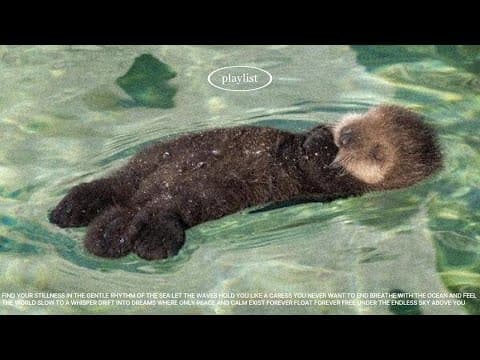 틀어놓고 아무거나